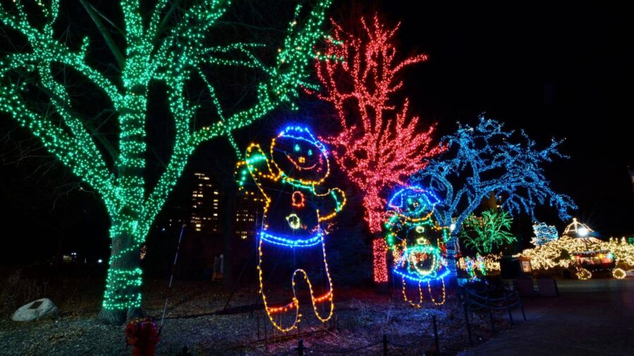 Service Page Holiday Lighting2 1