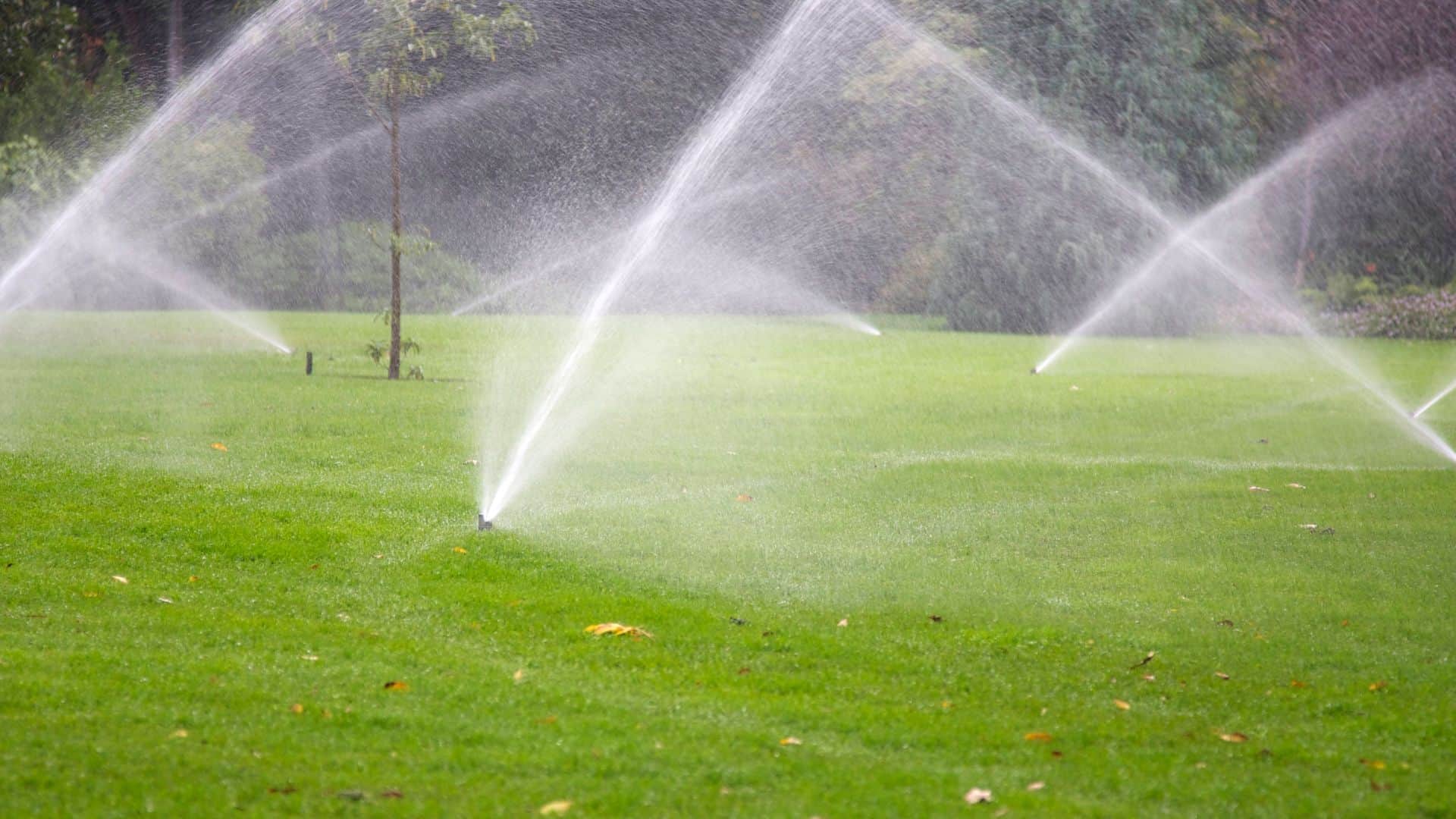 Service Page Irrigation 1