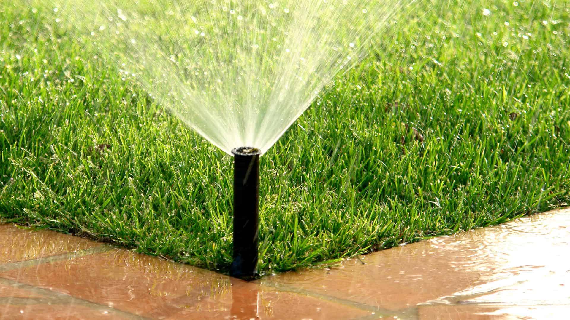 Sprinkler Start Up 9.10.23