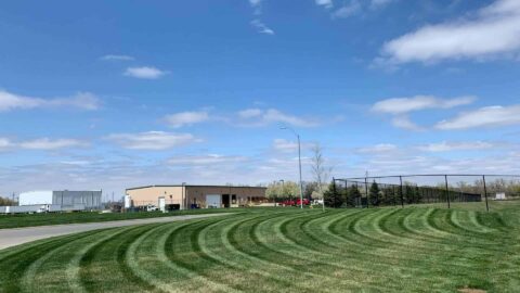 Commercial Lawn Mower Stripes