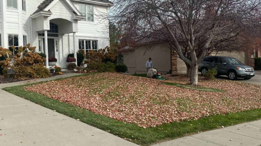 Fall Leaves Cleanup Before