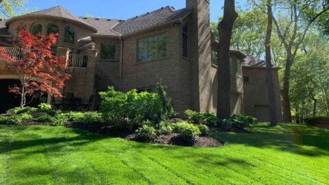 Large Home Beautifully Landscaped