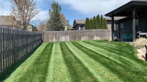 Lawn Stripes Horizontal With Home
