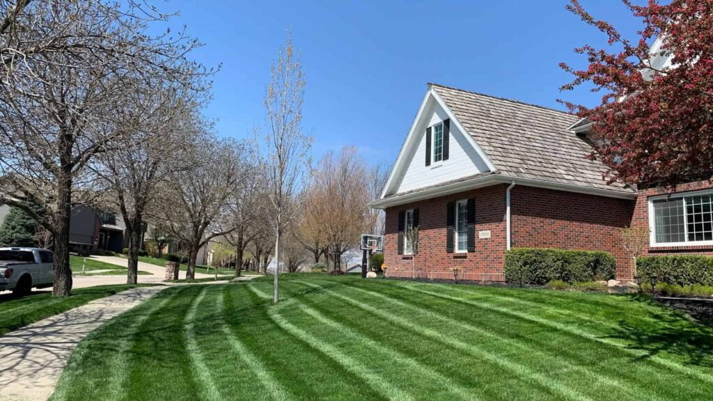 Long Straight Mowing Stripes