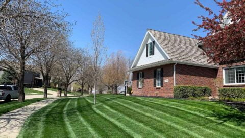 Long Straight Mowing Stripes