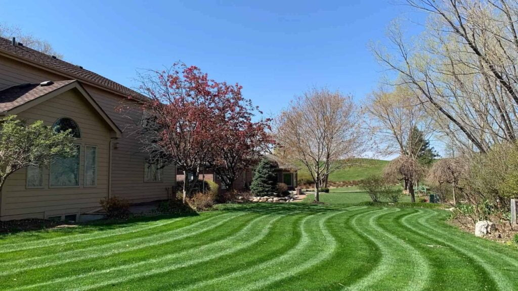 Long Wavy Mowing Stripes