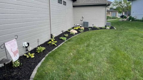 Manicured Sideyard With Edging Dark Mulch And Plants