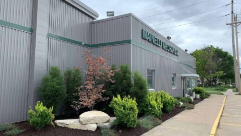 Softscape Installation And Maintenance