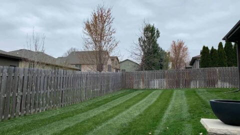 Straight Lawn Lines